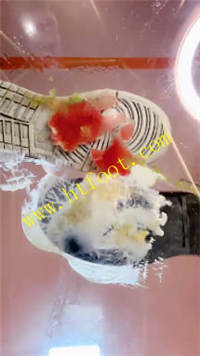d52nsye123a.jpg