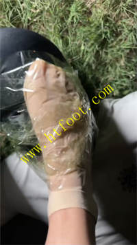 gsblfel14uw.jpg