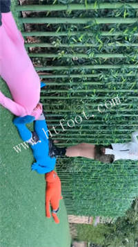 wbwk00aq5pe.jpg