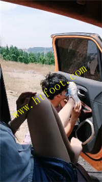gbmydtc3g42.jpg