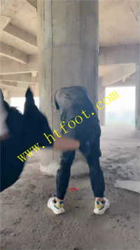 qh0fixeilyt.jpg