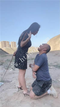 mvichcipefa.jpg