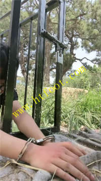 5hjdue52f2c.jpg
