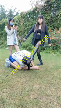 aozeil5gekl.jpg