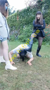 jwkveds5521.jpg
