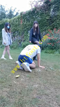 4y3rcrqal2j.jpg