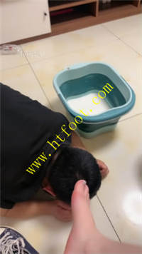 k5othfny0pa.jpg