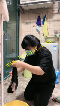 dfh5nii1be1.jpg