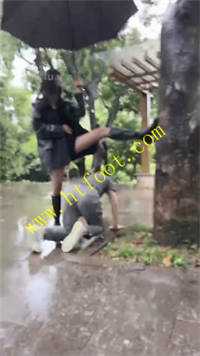 s53u0p1tmmq.jpg