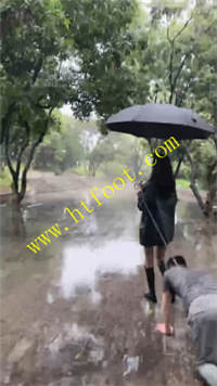 m2sqfx3dt14.jpg
