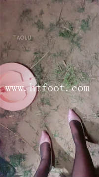hybea0o0tkf.jpg