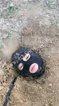 kvrxvvwhb1j.jpg
