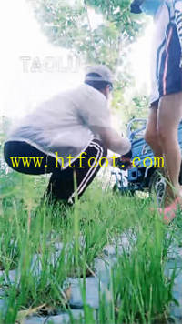 4j01dcmnqh2.jpg