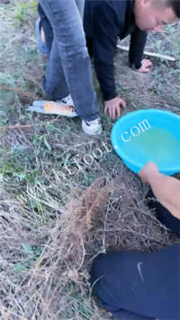 0z4l0zhdic0.jpg