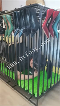 ph3zt4fcw0h.jpg