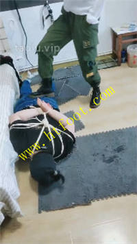hfos3m3t4bd.jpg