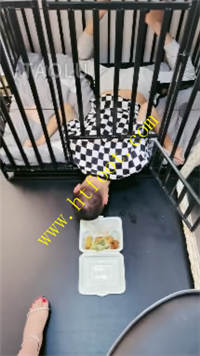 max1p1r2x1y.jpg