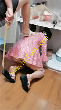 pyi2aojjzin.jpg