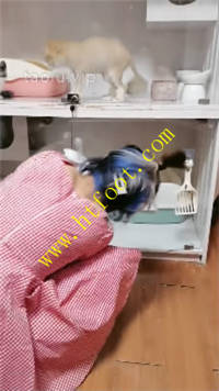 3ls54uwrxpw.jpg