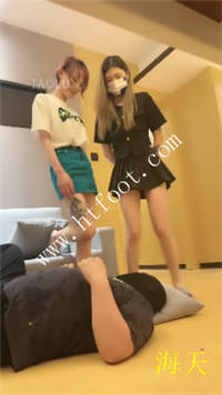 fvinsifcn44.jpg