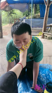 hxafbemiw1e.jpg
