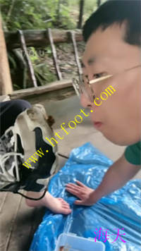 0np2a2f5gan.jpg