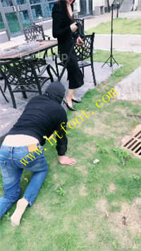 ezvbrgeajbl.jpg