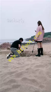 v3p54dhzcp2.jpg