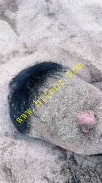 o4skjidlkdi.jpg