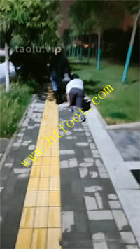 rfxosff01yg.jpg