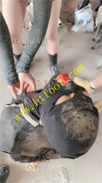 c4orpx2n0du.jpg