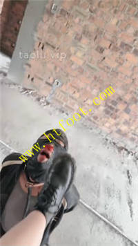 jwpmcjs40rr.jpg