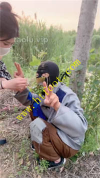 rrhsae1k5n4.jpg