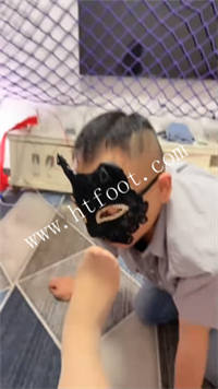heamm3ej4n4.jpg