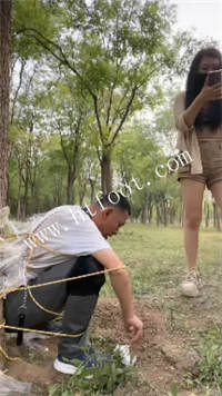 dc5kg43linl.jpg