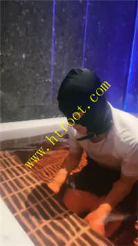 ohphv00r1m4.jpg