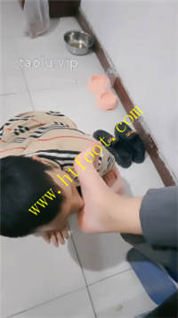 n3vnp4g0ges.jpg