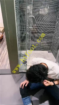 sm2xbgzrjkz.jpg