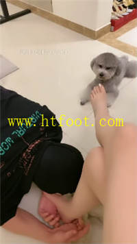fty4ta532mv.jpg
