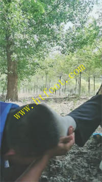 e4pk0mrvb5m.jpg