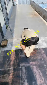zo2qsohxycy.jpg