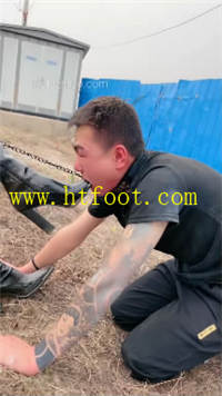 clpymlol12q.jpg
