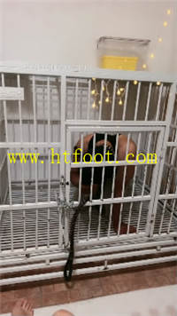 wzr502p5ghr.jpg