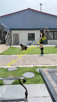 hnlf4ltyixq.jpg