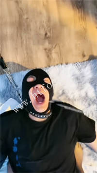 mswllelwhw1.jpg