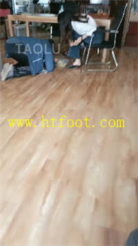 j51dv3ev25t.jpg
