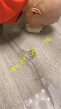 idlmfuey03s.jpg