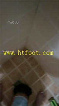 dn4gs03wipj.jpg