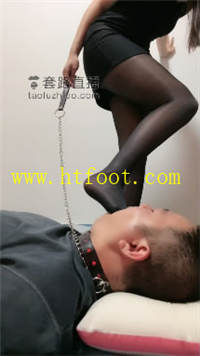shhqbcshp2p.jpg