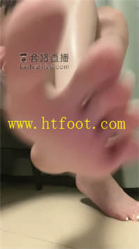 hte341crput.jpg